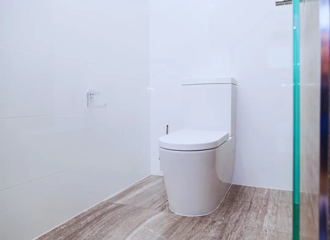 Remplacement de wc Sarrians